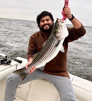 Beautiful striped bass from Port Monmouth Road NJ!