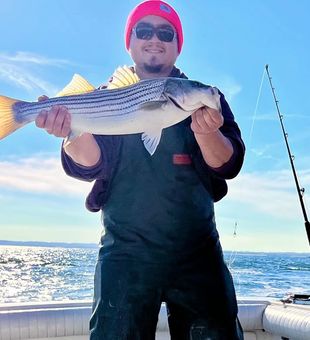 Beautiful striped bass caught in Port Monmouth Road NJ!