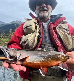 Exciting Guided Fishing Tours. Brook Trout Catch