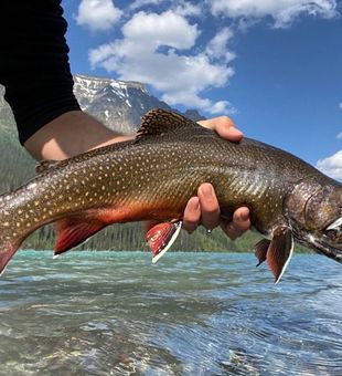 Luxurious Fortress Lake Resort, Brook Trout Catch