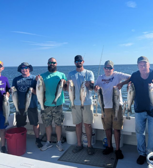 Coastal Wonders: Striped Bass Treasures.