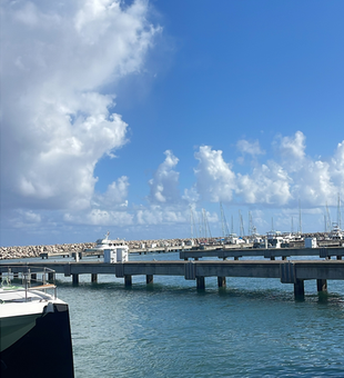 Dominican Republic marina ready for fishing adventures.