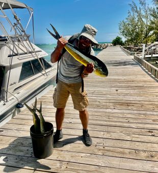Beautiful mahi mahi caught in Puerto Plata waters!