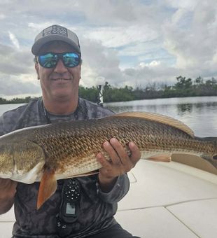 Reel big redfish in Cape Coral!