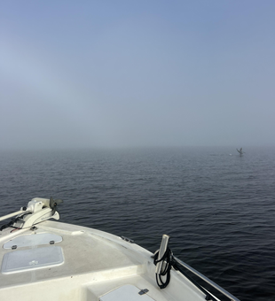 Perfect conditions clearing up for some exciting deep sea light tackle fishing adventure!