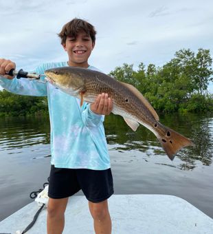 Nice Punta Gorda redfish making the day!