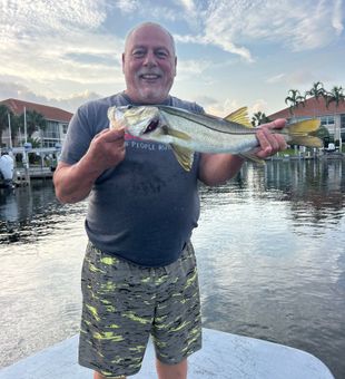 Nice snook from Punta Gorda waters!