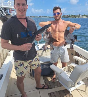Cheerful duo with Barracuda and Triggerfish!