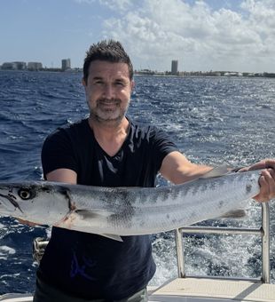 Barracuda catch offshore fishing charter success