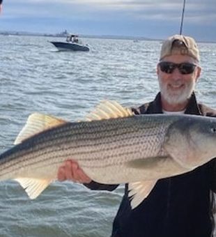 Striped Bass from Raritan Bay 