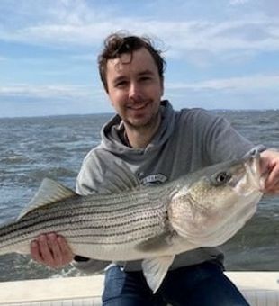 Striped Bass from Raritan Bay 