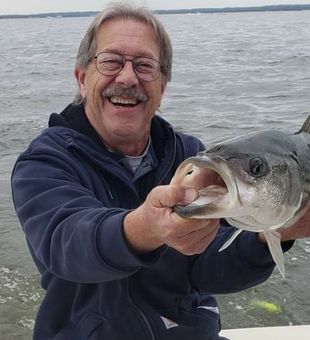 Striped Bass from Raritan Bay 