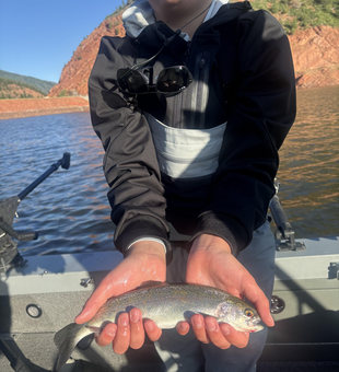Mastering the art of deep sea jigging for Cutthroat Trout in Silt!