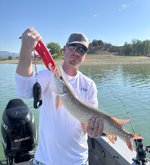 Nice muskellunge caught using deep sea jigging and trolling techniques in clear conditions!