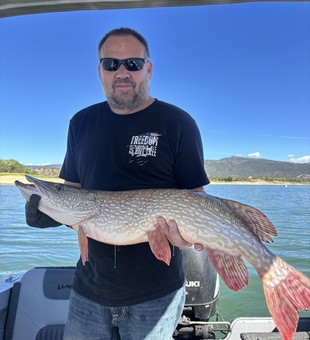 Nice Northern Pike using deep sea jigging technique in partly cloudy conditions.