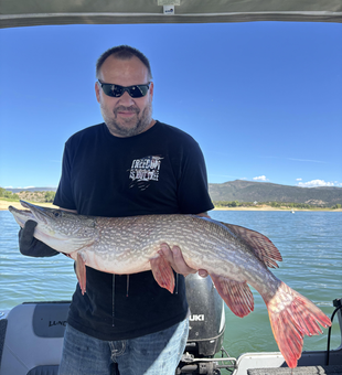 Nice Northern Pike using deep sea jigging techniques in partly cloudy conditions.