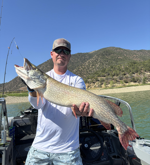 Nice Northern Pike using deep sea jigging in clear conditions!