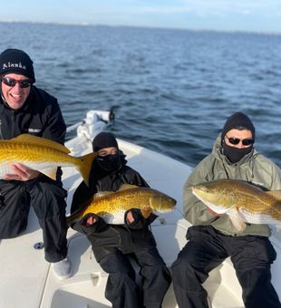 Premier Pensacola Fishing Adventures