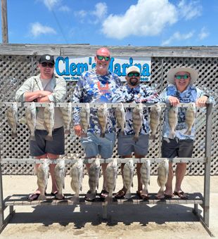 Inshore fishing with Low Tide Adventures