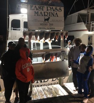 Destin Florida Deep Sea Fishing Charters