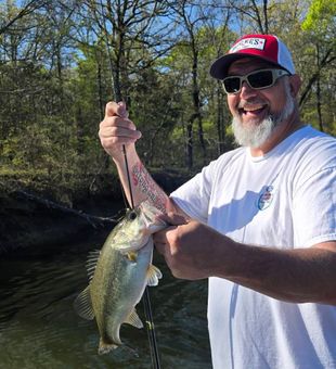 Solid largemouth bass catch on freshwater lake