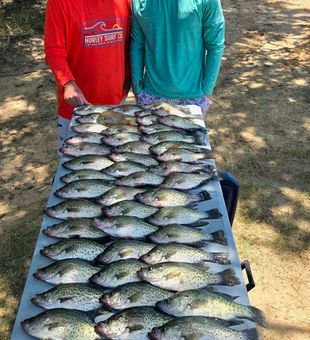 Outstanding crappie haul from Quitman TX waters!