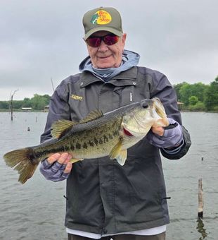 Nice largemouth bass catch on lake fishing trip