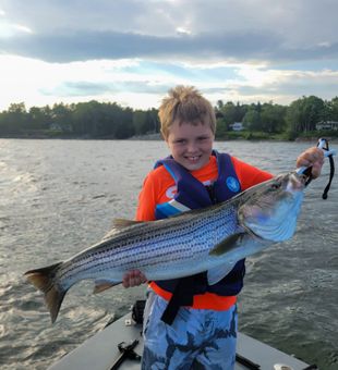 Striped Bass Fishing Fun on Maine’s Coast
