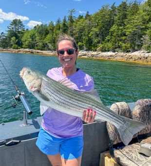 Monroe ME striped bass success!