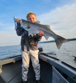 Striped Bass Catch in Blue Hill, Maine