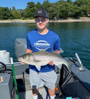 Nice striped bass caught in Monroe ME!