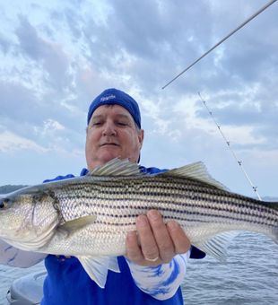 Striper season has begun - Lake Murray, SC.