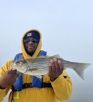 Stripers are biting - Lake Murray, SC.