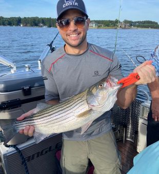 Lake Murray’s best striper spots