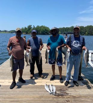 Hooked up with stripers at Murray SC