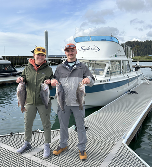 Anglers reel in four black rockfish on a partly cloudy day with afternoon rain in La Push.