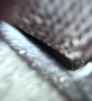 Silvery catch from the depths of Lake Texoma!