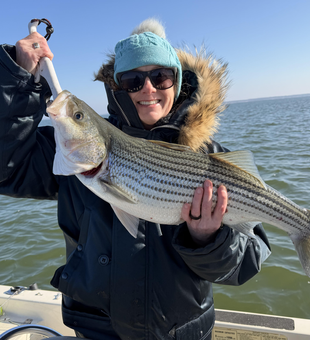 Beautiful striped bass from Lake Texoma!