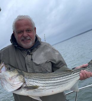 Thick striped bass catch