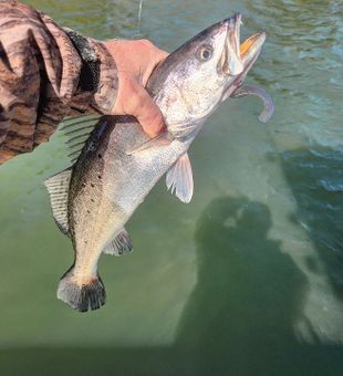 Reel moments happen in Charleston.