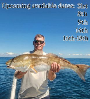 Mount Pleasant redfish action at its finest!
