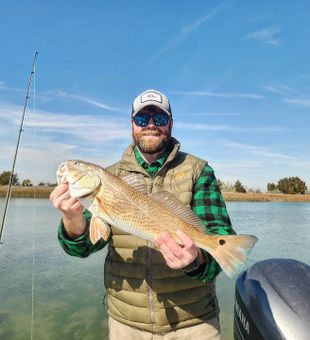 Charleston Redfish season looking good.