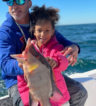 St Pete Fishing Charters