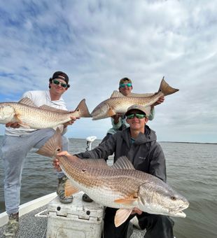 St Petersburg Fl Fishing