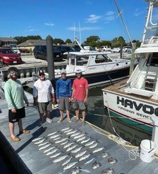 Experience epic fishing trips, Chesapeake.