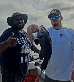 Your guide to Chesapeake Sea Bass fishing