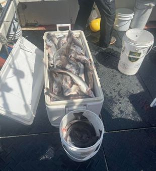 Fishing is better when shared with family and friends.