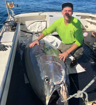 Monster Hampton NH bluefin tuna hit the deck!