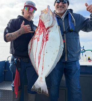 Sacramento California flounder fishing success!
