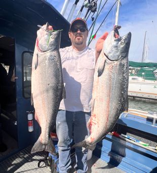 King salmon California 